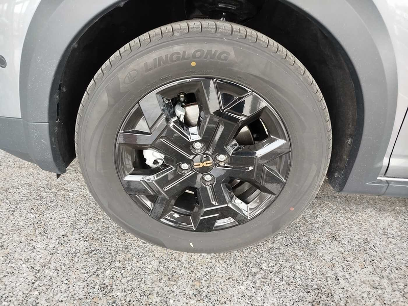 Dacia Sandero Stepway Extreme Eco-G 120 auto AHK/Winter-Komfortp — photo 7