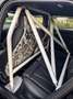 Audi RS B&O, ACC,RFK,PANO,AIRRIDE - thumbnail 11