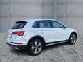 Audi Q5 40 TDI QU S-TR ADVANCED LED+NAVI+RFK+GRA+19" Wit - thumbnail 6