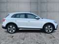 Audi Q5 40 TDI QU S-TR ADVANCED LED+NAVI+RFK+GRA+19" Wit - thumbnail 7