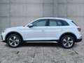 Audi Q5 40 TDI QU S-TR ADVANCED LED+NAVI+RFK+GRA+19" Wit - thumbnail 4