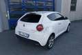 Alfa Romeo MiTo 1.3 jtdm Super 95cv Blanc - thumbnail 5