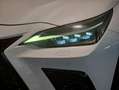 Lexus NX 300h 450h+ F Sport 4WD Blanco - thumbnail 25