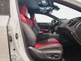 Lexus NX 300h 450h+ F Sport 4WD Blanco - thumbnail 6