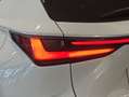 Lexus NX 300h 450h+ F Sport 4WD Blanco - thumbnail 27