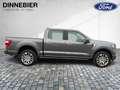 Ford F 150 F-150 Limited Launch Edt. Allrad+AHK+360° Grau - thumbnail 8
