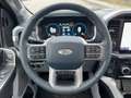 Ford F 150 F-150 Limited Launch Edt. Allrad+AHK+360° Szürke - thumbnail 11