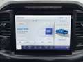 Ford F 150 F-150 Limited Launch Edt. Allrad+AHK+360° Grijs - thumbnail 14