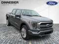Ford F 150 F-150 Limited Launch Edt. Allrad+AHK+360° Grau - thumbnail 9