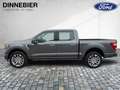 Ford F 150 F-150 Limited Launch Edt. Allrad+AHK+360° Grijs - thumbnail 5