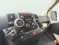 Fiat Ducato Fiat   30 2.3 MJT 150CV PC-TN Combi 9P - (2 Azul - thumbnail 12
