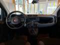 Fiat Panda 1,2 70 Easy Rot - thumbnail 11