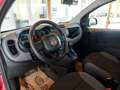 Fiat Panda 1,2 70 Easy Rot - thumbnail 12