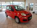 Fiat Panda 1,2 70 Easy Rot - thumbnail 5