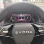 Skoda Kamiq Monte Carlo Kamera,Matrix,Kessy Gris - thumbnail 8