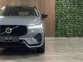 Volvo XC60 T6 AWD Recharge Ultimate Ultra Dark Harman Kardon Gris - thumbnail 11
