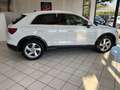Audi Q3 Q3 II 2018 35 2.0 tdi Business Advanced s-tronic Blanco - thumbnail 7