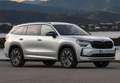 Skoda Kodiaq 1.5 TSI Ambition 4x2 110kW Gris - thumbnail 25