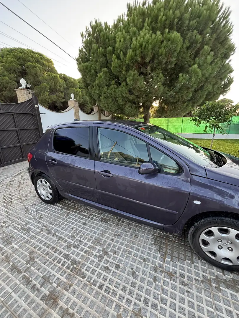 Peugeot 307 2.0HDI XR - 2