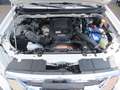 Isuzu D-Max 1.9 Turbodiesel Cab 4WD LKW Blanc - thumbnail 13
