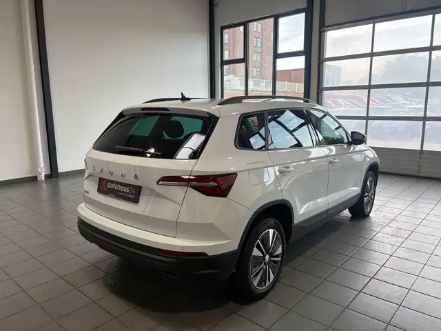 Skoda Karoq view 5