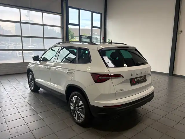 Skoda Karoq view 4