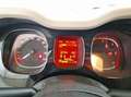 Fiat Panda Panda 1.3 mjt 16v 4x4 s Bianco - thumbnail 4