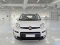Fiat Panda Panda 1.3 mjt 16v 4x4 s Bianco - thumbnail 6