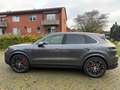 Porsche Cayenne S E-Hybrid* HEAD-UP*LED*BOSE*360 Gris - thumbnail 9