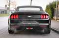 Ford Mustang 2.3 EcoBoost Cabrio Shelby Style/Premium Černá - thumbnail 7