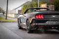 Ford Mustang 2.3 EcoBoost Cabrio Shelby Style/Premium Czarny - thumbnail 6