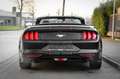 Ford Mustang 2.3 EcoBoost Cabrio Shelby Style/Premium Schwarz - thumbnail 8