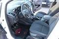 Ford Grand C-Max Grand C-MAX Titanium 1,5 TDCi 7 Sitzer Weiß - thumbnail 13