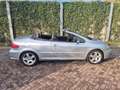 Peugeot 307 CC 2.0-16V Grau - thumbnail 5