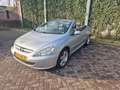 Peugeot 307 CC 2.0-16V Grau - thumbnail 14