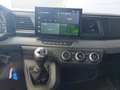 Renault Master Rot - thumbnail 9