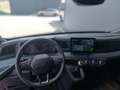 Renault Master Rot - thumbnail 4