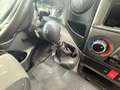 Iveco --offene Pritsche-- Doppel Kabiene Blanc - thumbnail 9