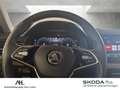Skoda Kamiq 1.0 TSI Selection DSG Navi VC ACC LED PDC Grau - thumbnail 16