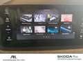Skoda Kamiq 1.0 TSI Selection DSG Navi VC ACC LED PDC Grau - thumbnail 21