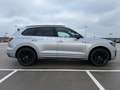 Volkswagen Touareg 3.0 TDI*Black Sty*R LINE*PAN*MATRIX*LUFT Silber - thumbnail 6