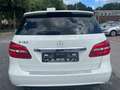 Mercedes-Benz B 180 *Night Paket*Kamera*Pano*Bi-Xenon*1.Hand Weiß - thumbnail 5
