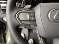 Lexus RX 450h RX 450 h+ E-FOUR Executive Line *Technolo+Panora* Zelená - thumbnail 14