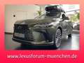 Lexus RX 450h RX 450 h+ E-FOUR Executive Line *Technolo+Panora* Grün - thumbnail 1