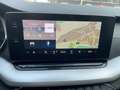 Skoda Octavia Ambition 2.0 TDI DSG LED AHK RFK Grau - thumbnail 13