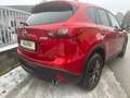 Mazda CX-5 CD175 AWD Revolution Top*Automatik*ALLRAD* Rot - thumbnail 5