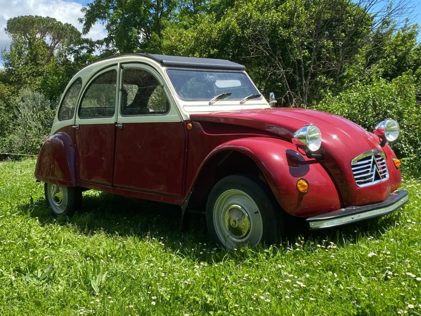 Citroen 2CV Rosso - 2