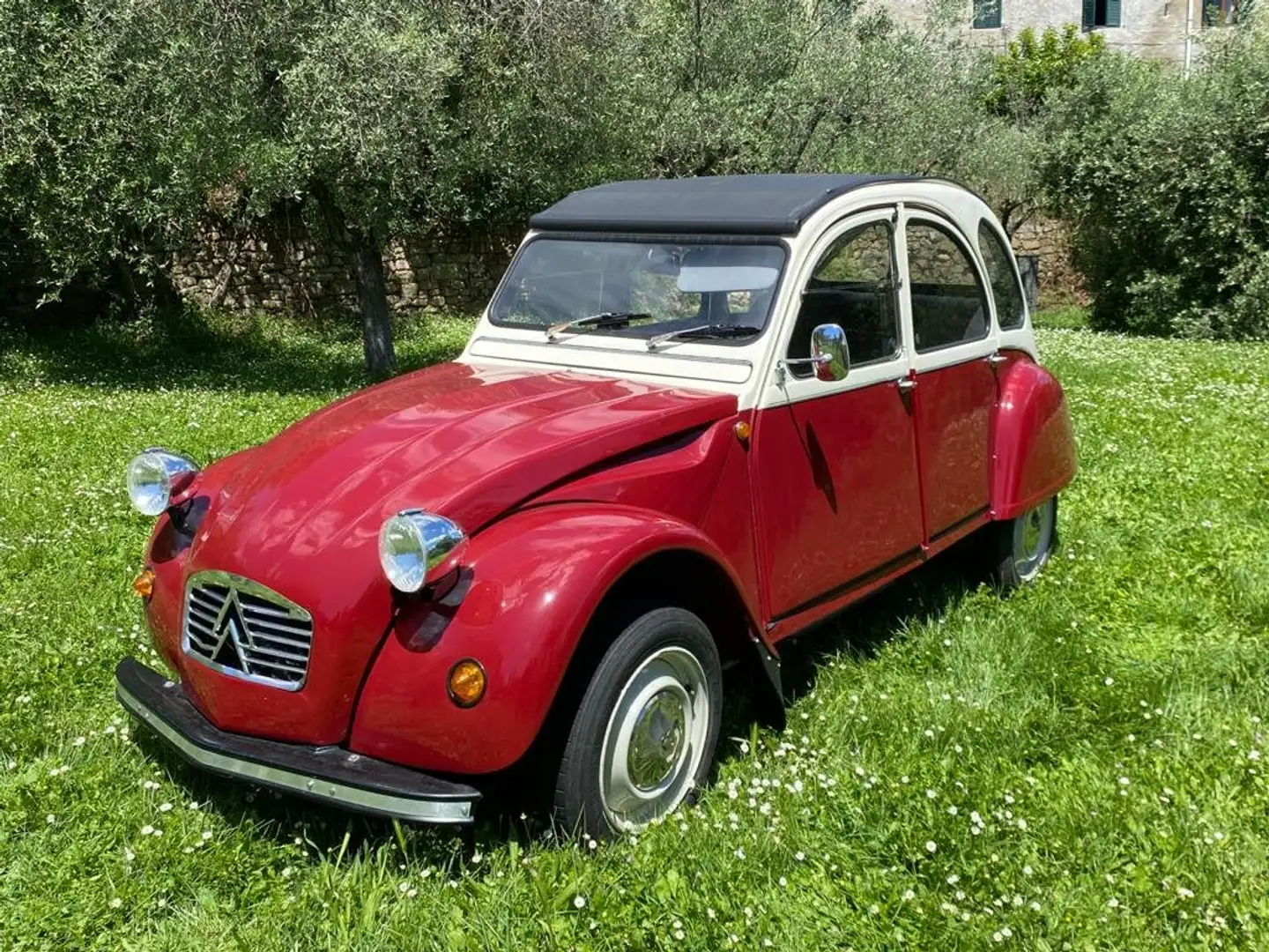 Citroen 2CV Rosso - 1