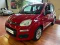 Fiat Panda 1.2  Easy Rosso - thumbnail 1