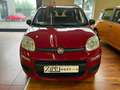Fiat Panda 1.2  Easy Rosso - thumbnail 2